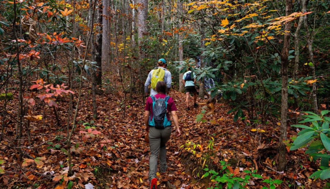 Outdoors Hiking adventure