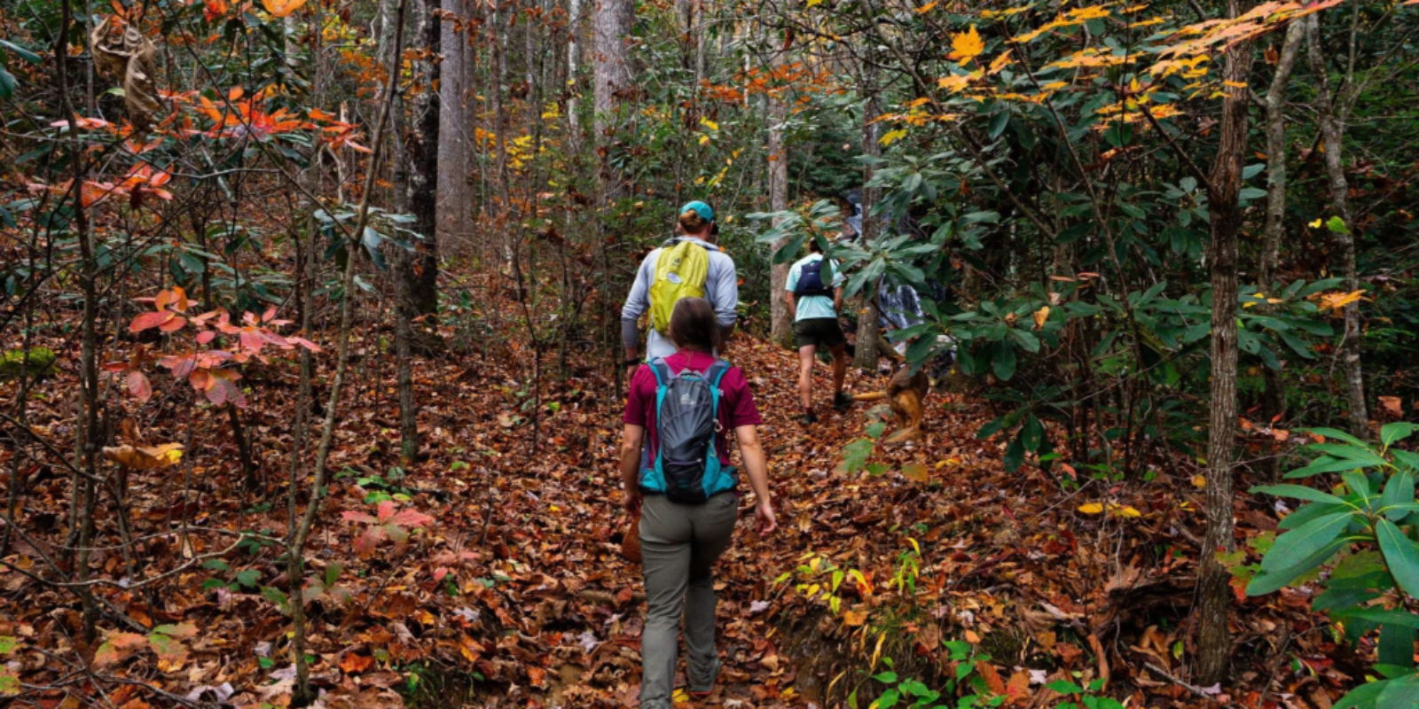Outdoors Hiking adventure