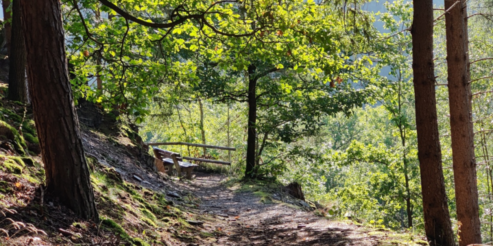 Outdoor Hiking Trail