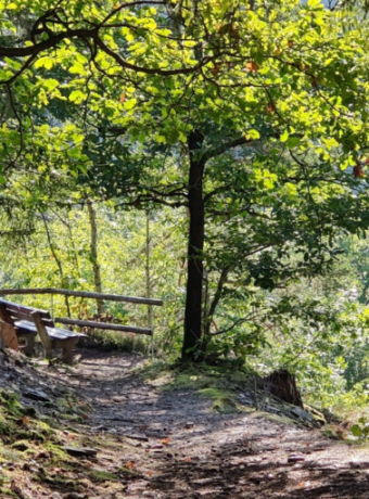 Outdoor Hiking Trail